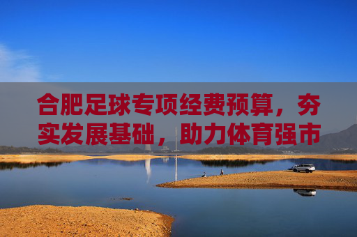 合肥足球专项经费预算，夯实发展基础，助力体育强市建设