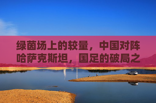 绿茵场上的较量，中国对阵哈萨克斯坦，国足的破局之路