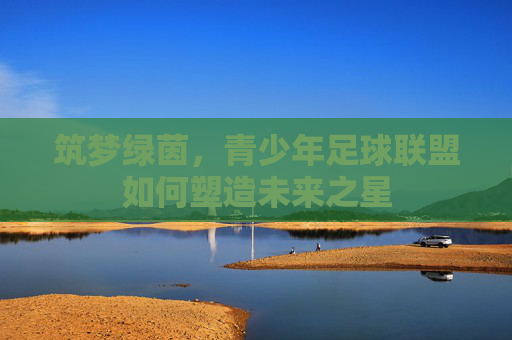 筑梦绿茵，青少年足球联盟如何塑造未来之星