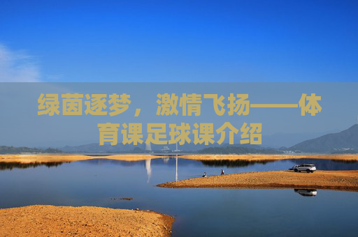 绿茵逐梦，激情飞扬——体育课足球课介绍