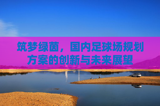 筑梦绿茵，国内足球场规划方案的创新与未来展望