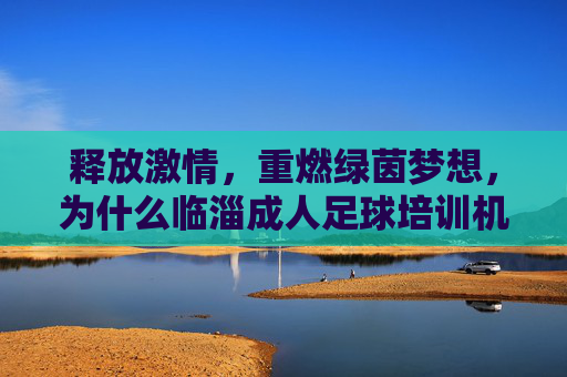 释放激情，重燃绿茵梦想，为什么临淄成人足球培训机构是最佳选择