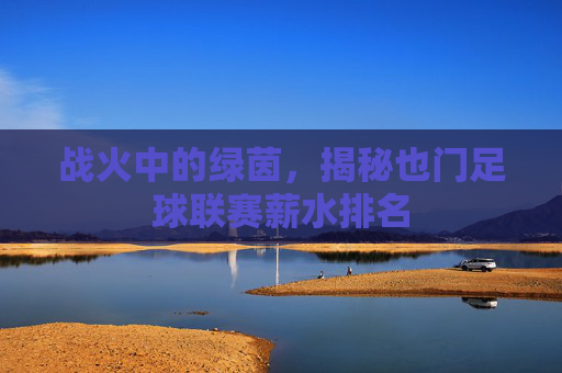 战火中的绿茵，揭秘也门足球联赛薪水排名