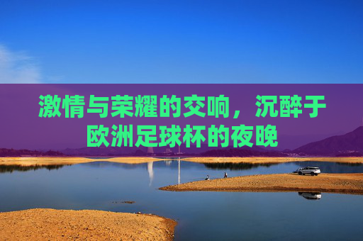 激情与荣耀的交响，沉醉于欧洲足球杯的夜晚