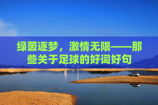 绿茵逐梦，激情无限——那些关于足球的好词好句