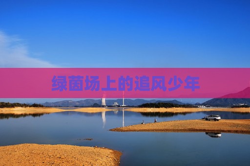 绿茵场上的追风少年