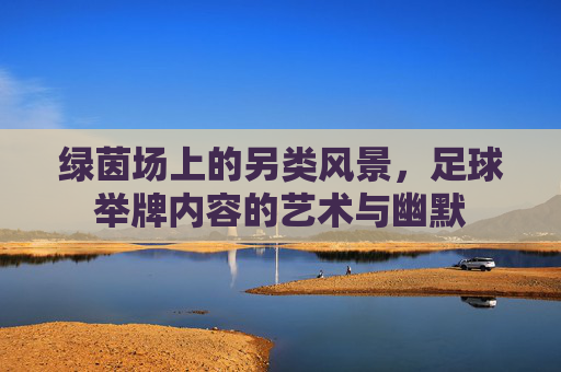 绿茵场上的另类风景，足球举牌内容的艺术与幽默