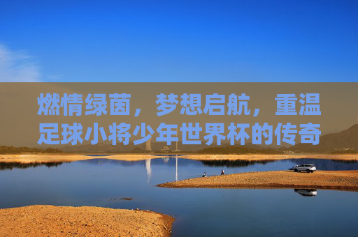 燃情绿茵，梦想启航，重温足球小将少年世界杯的传奇篇章