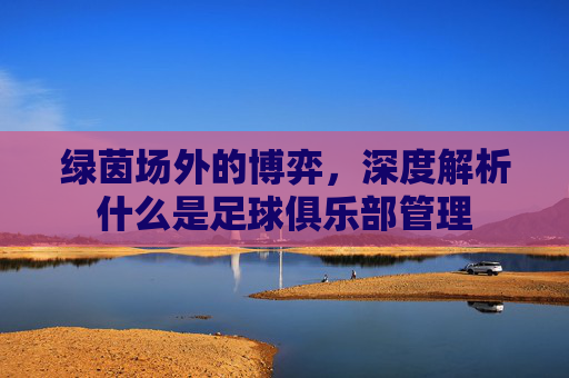 绿茵场外的博弈，深度解析什么是足球俱乐部管理