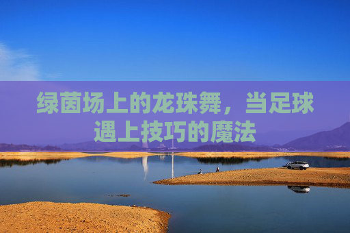 绿茵场上的龙珠舞，当足球遇上技巧的魔法