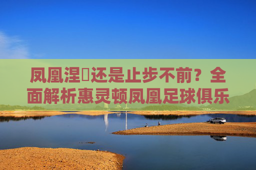 凤凰涅槃还是止步不前？全面解析惠灵顿凤凰足球俱乐部的现状与前景