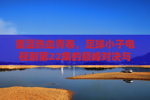 重温热血青春，足球小子电视剧第22集的巅峰对决与成长时刻