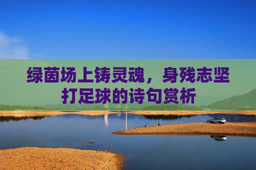 绿茵场上铸灵魂，身残志坚打足球的诗句赏析