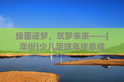 绿茵逐梦，筑梦未来——[年份]少儿足球年终总结