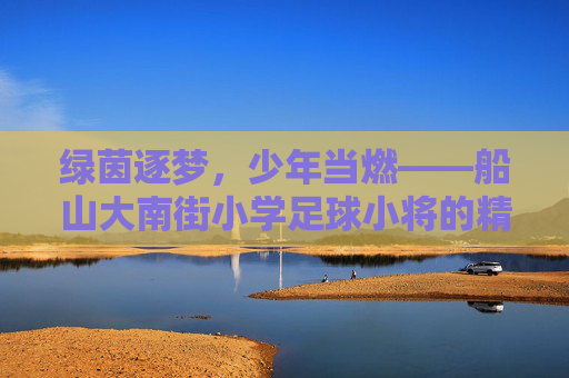 绿茵逐梦，少年当燃——船山大南街小学足球小将的精彩瞬间