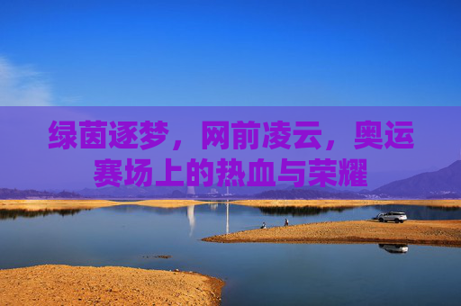 绿茵逐梦，网前凌云，奥运赛场上的热血与荣耀