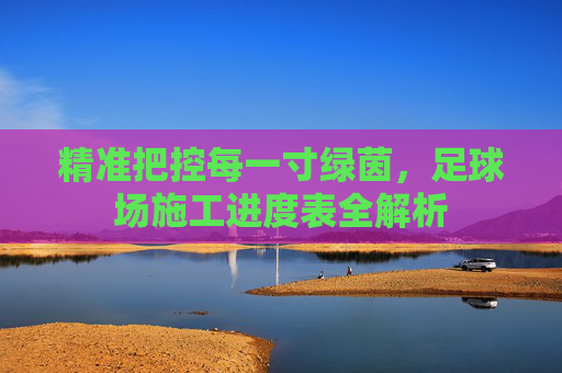 精准把控每一寸绿茵，足球场施工进度表全解析