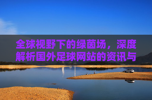 全球视野下的绿茵场，深度解析国外足球网站的资讯与功能