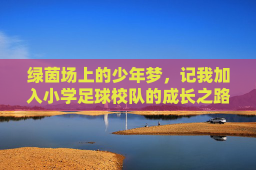 绿茵场上的少年梦，记我加入小学足球校队的成长之路
