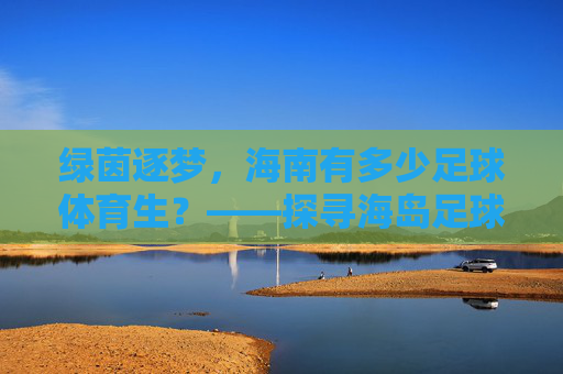 绿茵逐梦，海南有多少足球体育生？——探寻海岛足球的青训人口与未来