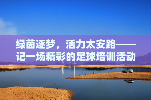 绿茵逐梦，活力太安路——记一场精彩的足球培训活动