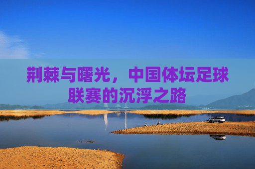 荆棘与曙光，中国体坛足球联赛的沉浮之路