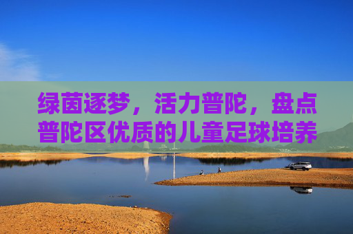 绿茵逐梦，活力普陀，盘点普陀区优质的儿童足球培养单位