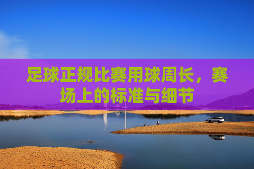 足球正规比赛用球周长，赛场上的标准与细节