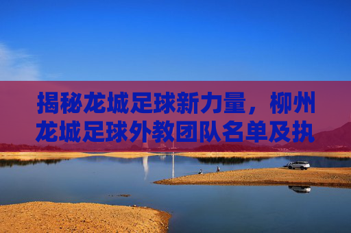 揭秘龙城足球新力量，柳州龙城足球外教团队名单及执教理念