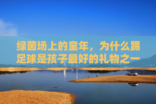 绿茵场上的童年，为什么踢足球是孩子最好的礼物之一