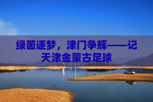 绿茵逐梦，津门争辉——记天津金蒙古足球