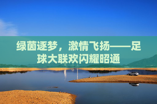 绿茵逐梦，激情飞扬——足球大联欢闪耀昭通