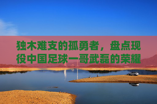 独木难支的孤勇者，盘点现役中国足球一哥武磊的荣耀与争议
