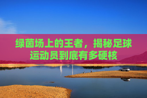 绿茵场上的王者,揭秘足球运动员到底有多硬核
