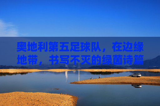 奥地利第五足球队,在边缘地带,书写不灭的绿茵诗篇