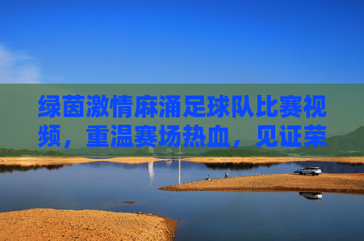 绿茵激情麻涌足球队比赛视频,重温赛场热血,见证荣耀时刻