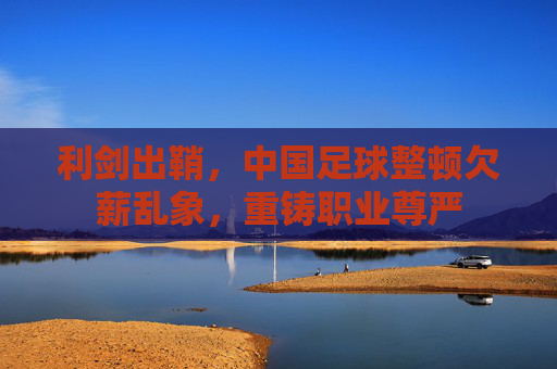 利剑出鞘,中国足球整顿欠薪乱象,重铸职业尊严