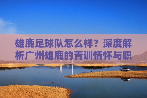 雄鹿足球队怎么样?深度解析广州雄鹿的青训情怀与职业沉浮