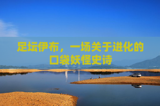 足坛伊布,一场关于进化的口袋妖怪史诗