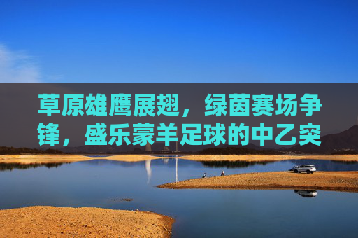 草原雄鹰展翅,绿茵赛场争锋,盛乐蒙羊足球的中乙突围之路