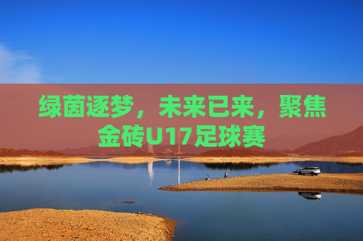 绿茵逐梦,未来已来,聚焦金砖U17足球赛