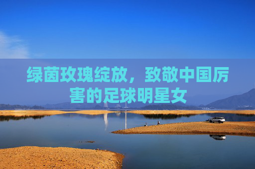 绿茵玫瑰绽放,致敬中国厉害的足球明星女