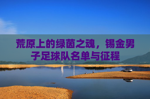 荒原上的绿茵之魂，锡金男子足球队名单与征程
