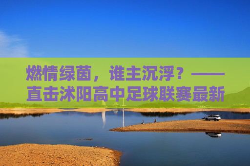 燃情绿茵,谁主沉浮?——直击沭阳高中足球联赛最新排名