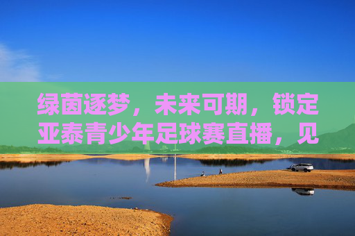 绿茵逐梦,未来可期,锁定亚泰青少年足球赛直播,见证中国足球新星的诞生