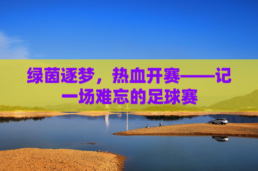 绿茵逐梦，热血开赛——记一场难忘的足球赛