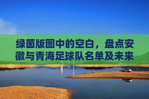 绿茵版图中的空白,盘点安徽与青海足球队名单及未来展望
