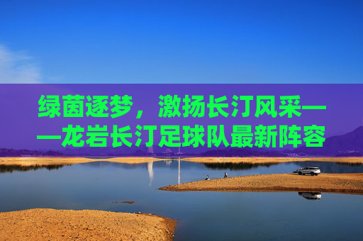 绿茵逐梦，激扬长汀风采——龙岩长汀足球队最新阵容名单重磅发布