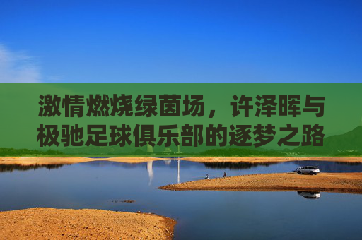 激情燃烧绿茵场，许泽晖与极驰足球俱乐部的逐梦之路