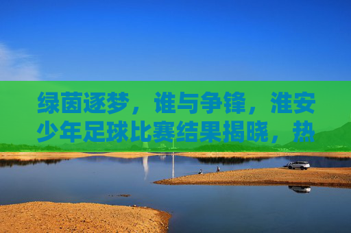 绿茵逐梦，谁与争锋，淮安少年足球比赛结果揭晓，热血少年展风采